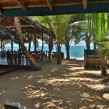 Panorama Rock Cafe Bed and Breakfast Tangalle Eksteriør billede
